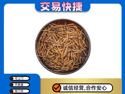 乌兰察布丰镇市回收散虫草